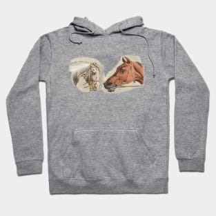 TWO HORSES Hoodie